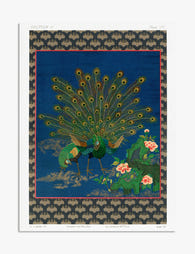 Majestic Peacock Elegance Art Print - Unframed