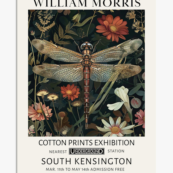 Dragonfly Art Prints