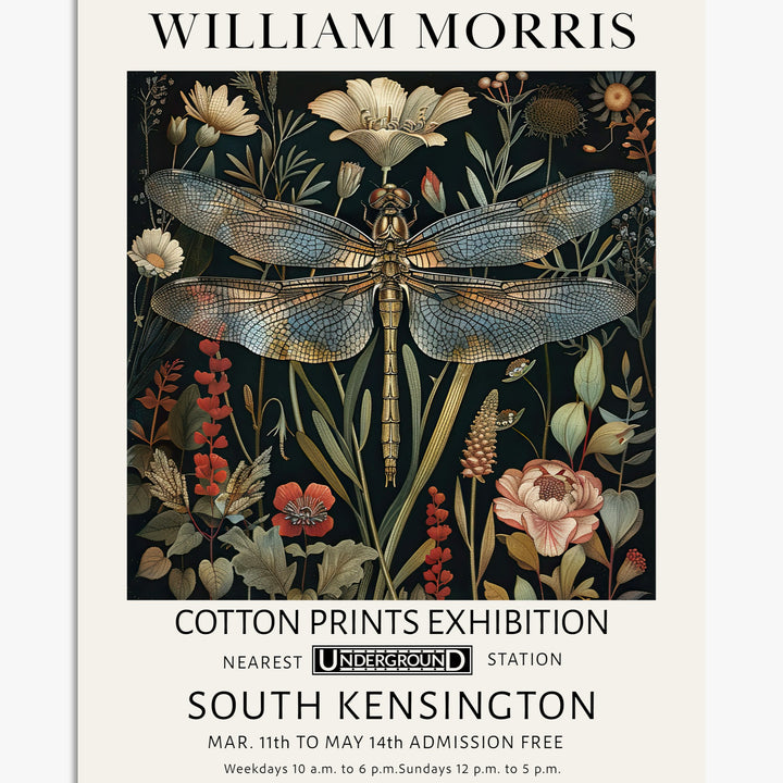 Dragonfly Art Prints