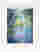 Monet Water Lilies Serenity Art Print - White