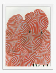 Coral Canopy Leaves Art Print White
