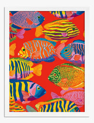 Vibrant Tropical Fish Parade Art Print - White