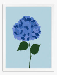 Blue Hydrangea Harmony Art Print White