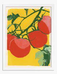 Sunlit Tomato Vines Art Print - White