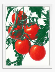 Bold Tomato Cluster Art Print White