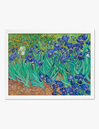 Irises by Vincent van Gogh Art Print White