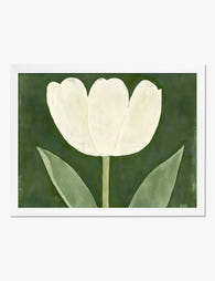 Pure White Tulip Bloom Art Print White