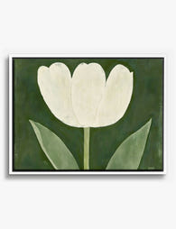 Elegant White Tulip Bloom Canvas Print White