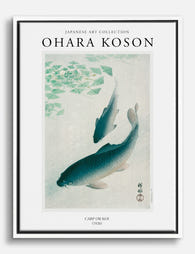 Koson Koi Tranquility Canvas Print White