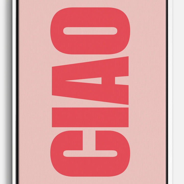 Poster Canvas Prints