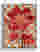 Red Blossom on Checkered Canvas Print - White