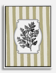 Vintage Herb Botanical Canvas Print White