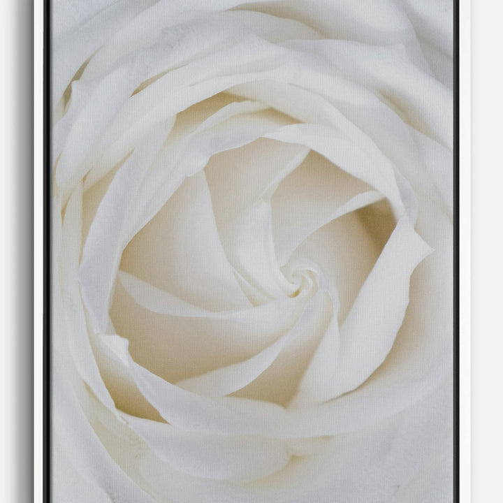 Flower Canvas Prints