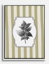 Botanical Shiso Elegance Canvas Print White