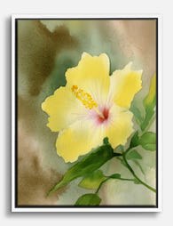 Sunshine Hibiscus Bloom Canvas Print - White