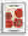 Modern Pomegranate Pop Canvas Print - White