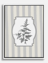 Classic Basil Botanical Canvas Print White