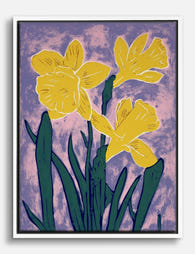 Sunny Daffodil Trio Canvas Print White