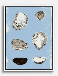 Coastal Shell Study Canvas Print White