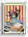 Striped Tabletop Still Life Canvas Print White