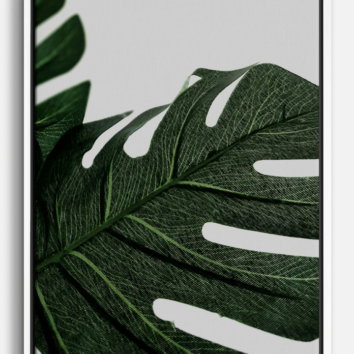 Monstera Canvas Prints