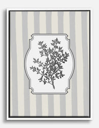 Thyme Botanical Elegance Canvas Print White