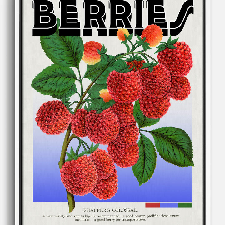 Berries Canvas Prints