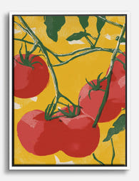 Sun Ripened Tomatoes Canvas Print White