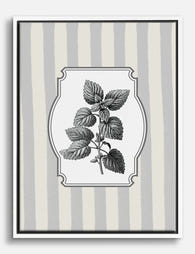 Vintage Botanical Mint Canvas Print White