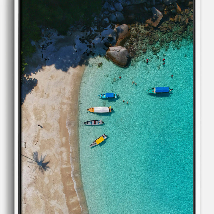 Palm Tree Canvas Prints