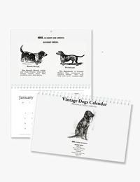 2026 Vintage Dogs Art Wall Calendar