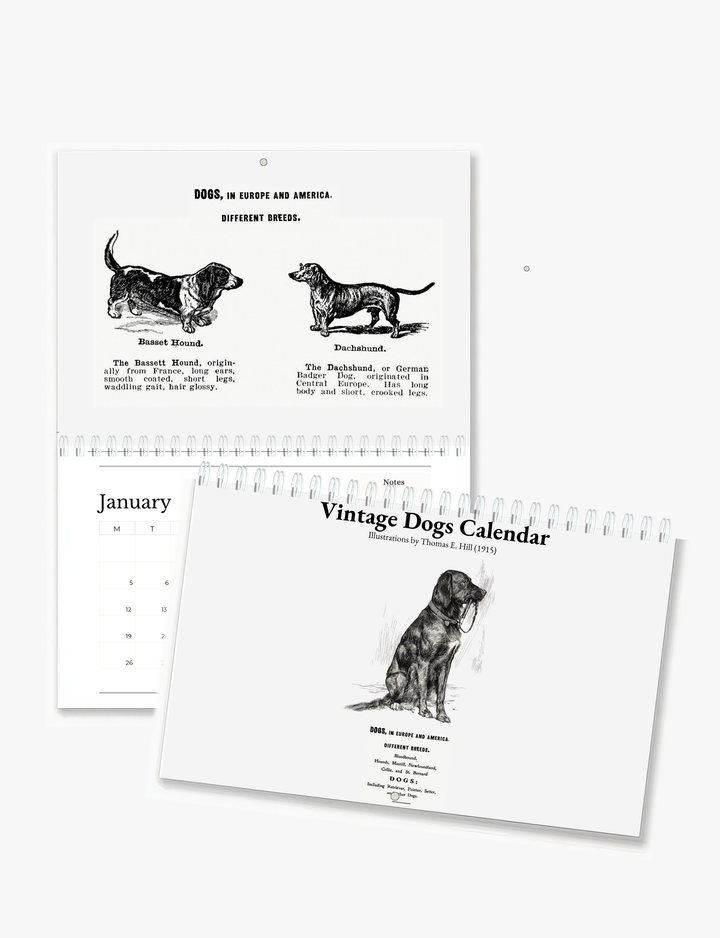 2026 Vintage Dogs Art Wall Calendar