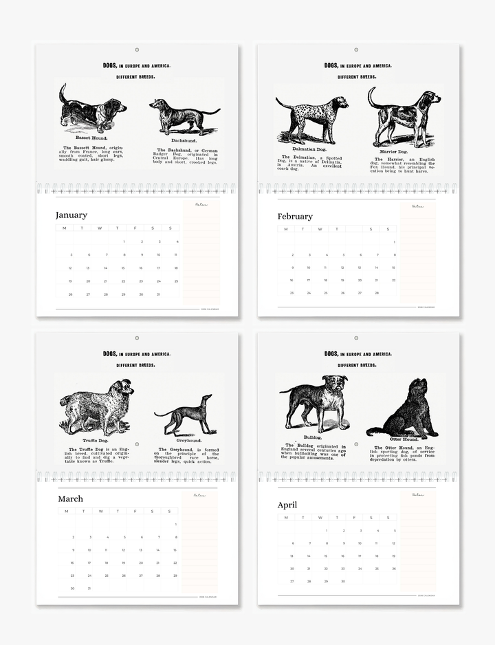 2026 Vintage Dogs Art Wall Calendar