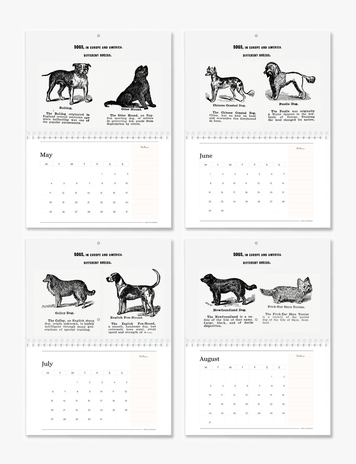 2026 Vintage Dogs Art Wall Calendar