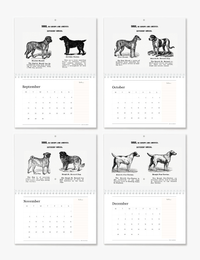 2026 Vintage Dogs Art Wall Calendar