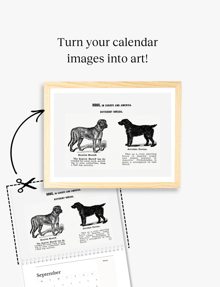 2026 Vintage Dogs Art Wall Calendar