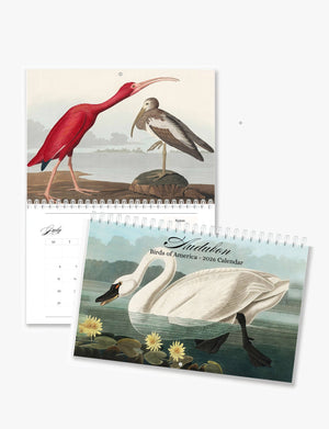 2026 John James Audubon Birds of America Art Wall Calendar