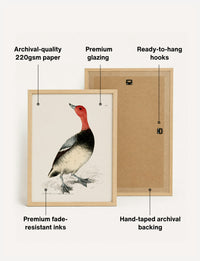 Fab art print quality and framing | fab-gallery:art_print_back_frames_v1