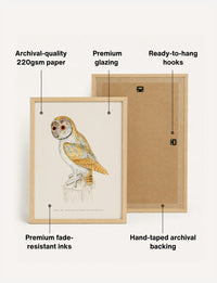 Fab art print quality and framing | fab-gallery:art_print_back_frames_v1