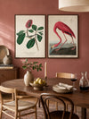 John James Audubon Gallery Wall Art Print Set