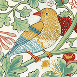 Birds Art Prints