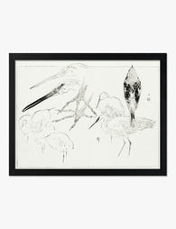 Egret & Redstart Study by Bijutsu Sekai Art Print Black