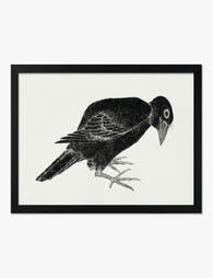 Hokusai Black Bird Study Art Print Black