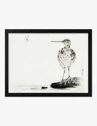 Tranquil Snipe by Bijutsu Seka Art Print Black