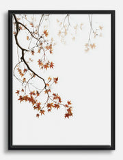 Lienzos de ramas