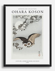 Branches Canvas Prints