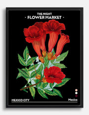 Mexico Canvas Prints