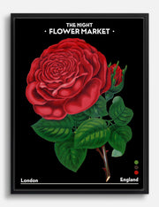 London Botanical Canvas Prints