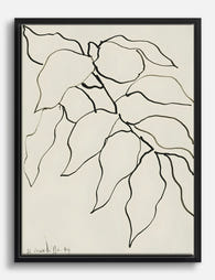 Matisse Foliage Line Drawing Canvas Print Black