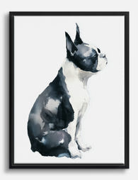 Boston Terrier Muse Canvas Print Black